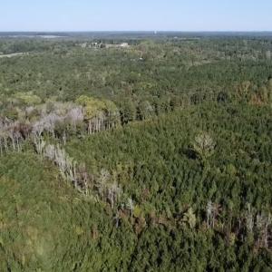 Photo #17 of Off JEROME LN, Linden, NC 28.0 acres