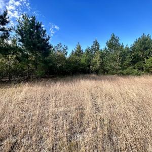 Photo #19 of Off JEROME LN, Linden, NC 28.0 acres