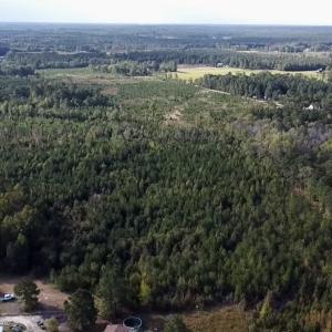 Photo #2 of Off JEROME LN, Linden, NC 28.0 acres