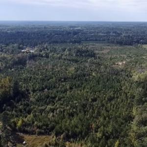 Photo #3 of Off JEROME LN, Linden, NC 28.0 acres