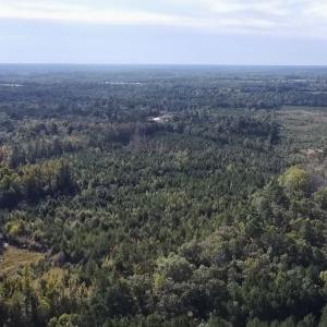 Photo #4 of Off JEROME LN, Linden, NC 28.0 acres