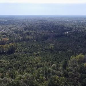 Photo #5 of Off JEROME LN, Linden, NC 28.0 acres