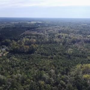 Photo #6 of Off JEROME LN, Linden, NC 28.0 acres