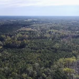 Photo #7 of Off JEROME LN, Linden, NC 28.0 acres