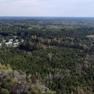 Photo #8 of Off JEROME LN, Linden, NC 28.0 acres