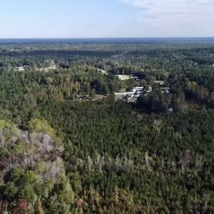 Photo #9 of Off JEROME LN, Linden, NC 28.0 acres