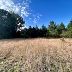 Photo #20 of Off JEROME LN, Linden, NC 28.0 acres