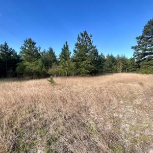 Photo #21 of Off JEROME LN, Linden, NC 28.0 acres