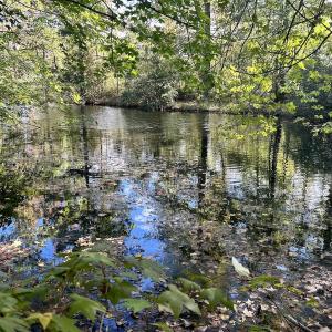 Photo #22 of Off JEROME LN, Linden, NC 28.0 acres