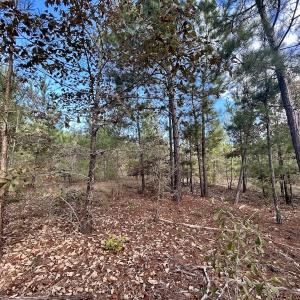Photo #26 of Off JEROME LN, Linden, NC 28.0 acres