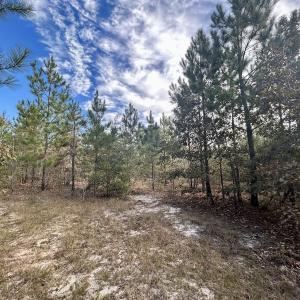 Photo #29 of Off JEROME LN, Linden, NC 28.0 acres