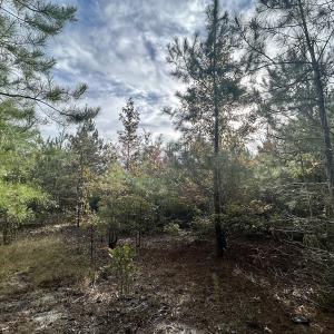 Photo #30 of Off JEROME LN, Linden, NC 28.0 acres