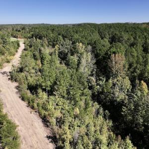 Photo #10 of Off Weadon Road, Blanch, NC 41.3 acres