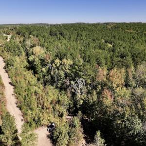 Photo #11 of Off Weadon Road, Blanch, NC 41.3 acres