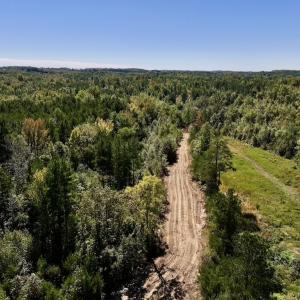 Photo #12 of Off Weadon Road, Blanch, NC 41.3 acres