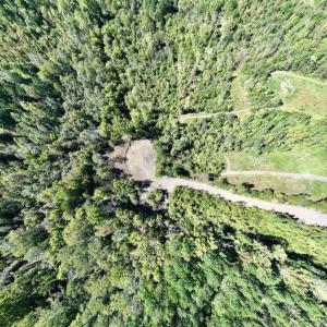 Photo #13 of Off Weadon Road, Blanch, NC 41.3 acres