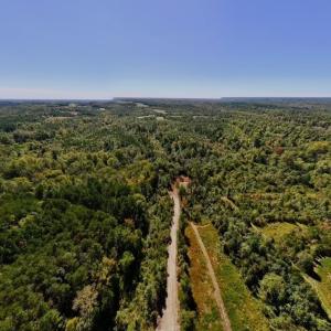 Photo #14 of Off Weadon Road, Blanch, NC 41.3 acres