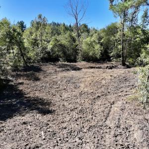 Photo #15 of Off Weadon Road, Blanch, NC 41.3 acres