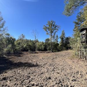 Photo #16 of Off Weadon Road, Blanch, NC 41.3 acres