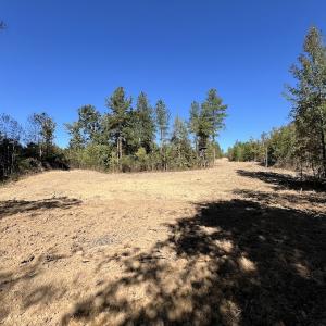 Photo #18 of Off Weadon Road, Blanch, NC 41.3 acres