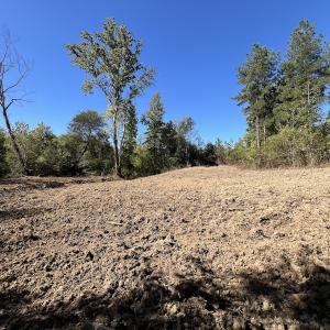 Photo #19 of Off Weadon Road, Blanch, NC 41.3 acres