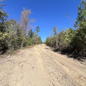 Photo #20 of Off Weadon Road, Blanch, NC 41.3 acres