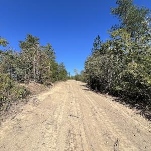 Photo #21 of Off Weadon Road, Blanch, NC 41.3 acres