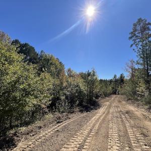 Photo #22 of Off Weadon Road, Blanch, NC 41.3 acres