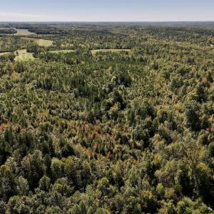 Photo #25 of Off Weadon Road, Blanch, NC 41.3 acres