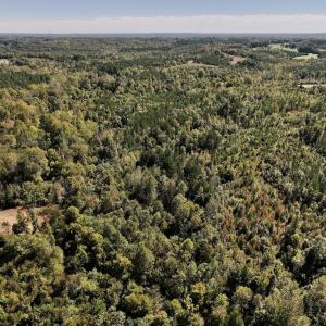 Photo #26 of Off Weadon Road, Blanch, NC 41.3 acres