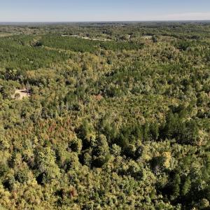 Photo #28 of Off Weadon Road, Blanch, NC 41.3 acres
