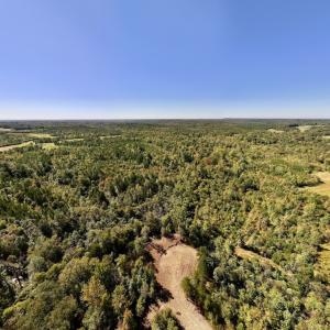 Photo #2 of Off Weadon Road, Blanch, NC 41.3 acres