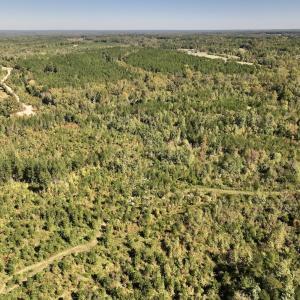 Photo #29 of Off Weadon Road, Blanch, NC 41.3 acres
