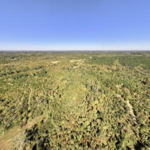 Photo #31 of Off Weadon Road, Blanch, NC 41.3 acres
