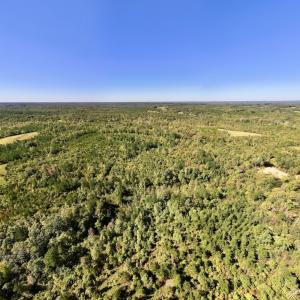 Photo #33 of Off Weadon Road, Blanch, NC 41.3 acres