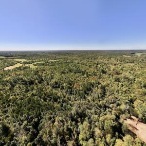Photo #34 of Off Weadon Road, Blanch, NC 41.3 acres