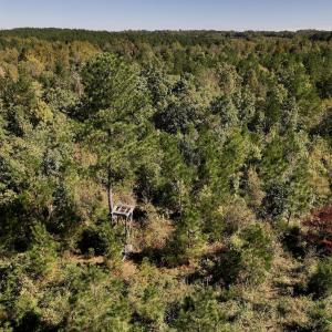 Photo #35 of Off Weadon Road, Blanch, NC 41.3 acres