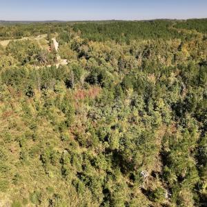 Photo #36 of Off Weadon Road, Blanch, NC 41.3 acres