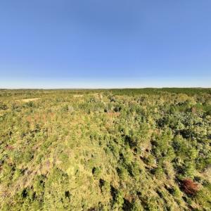 Photo #37 of Off Weadon Road, Blanch, NC 41.3 acres