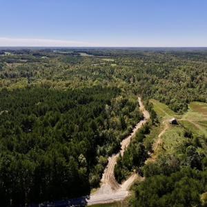 Photo #3 of Off Weadon Road, Blanch, NC 41.3 acres