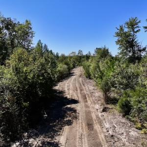 Photo #5 of Off Weadon Road, Blanch, NC 41.3 acres