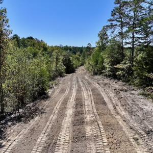 Photo #6 of Off Weadon Road, Blanch, NC 41.3 acres