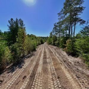Photo #7 of Off Weadon Road, Blanch, NC 41.3 acres