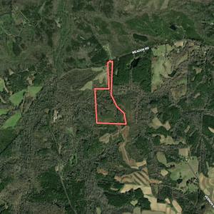 Photo #39 of Off Weadon Road, Blanch, NC 41.3 acres