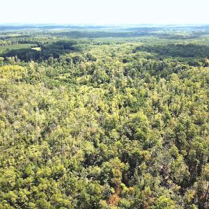 Photo #4 of SOLD property in Off Cattail Rd, Mears, VA 112.0 acres