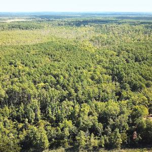 Photo #7 of SOLD property in Off Cattail Rd, Mears, VA 112.0 acres
