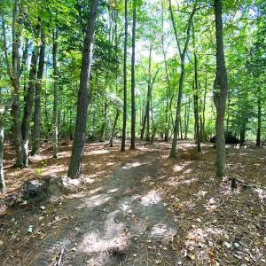 Photo #8 of SOLD property in Off Cattail Rd, Mears, VA 112.0 acres