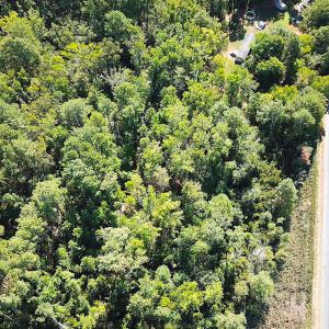 Photo #9 of SOLD property in Off Cattail Rd, Mears, VA 112.0 acres