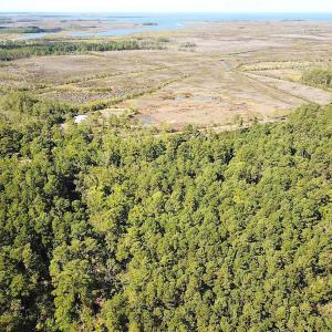 Photo #11 of SOLD property in Off Cattail Rd, Mears, VA 112.0 acres