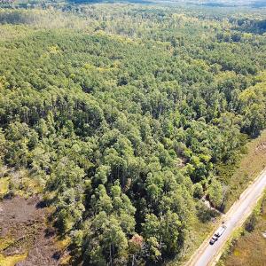Photo #14 of SOLD property in Off Cattail Rd, Mears, VA 112.0 acres